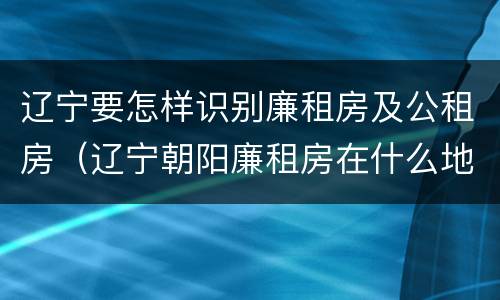 辽宁要怎样识别廉租房及公租房（辽宁朝阳廉租房在什么地方）