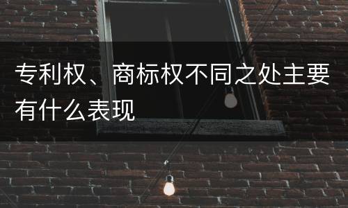 专利权、商标权不同之处主要有什么表现