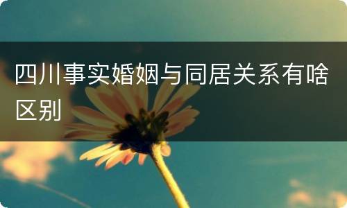 四川事实婚姻与同居关系有啥区别