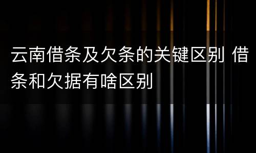 云南借条及欠条的关键区别 借条和欠据有啥区别