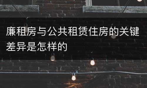 廉租房与公共租赁住房的关键差异是怎样的