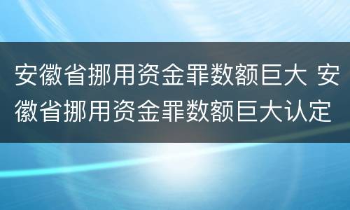 安徽省挪用资金罪数额巨大 安徽省挪用资金罪数额巨大认定标准