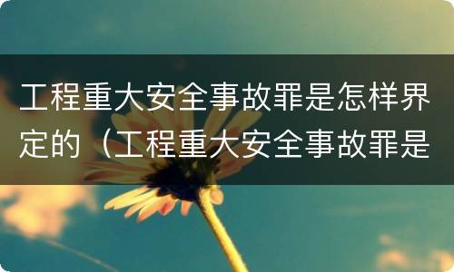 工程重大安全事故罪是怎样界定的（工程重大安全事故罪是指什么）