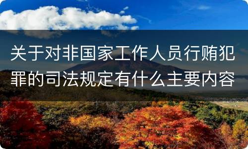 关于对非国家工作人员行贿犯罪的司法规定有什么主要内容