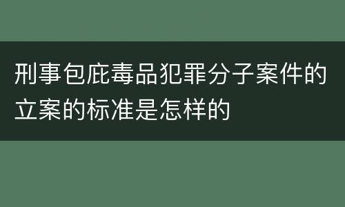 刑事包庇毒品犯罪分子案件的立案的标准是怎样的