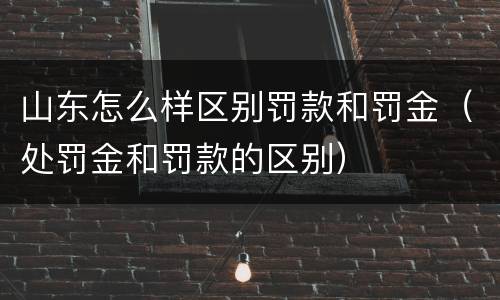 山东怎么样区别罚款和罚金（处罚金和罚款的区别）