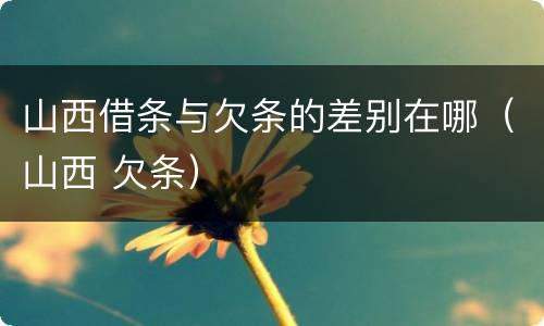 山西借条与欠条的差别在哪（山西 欠条）