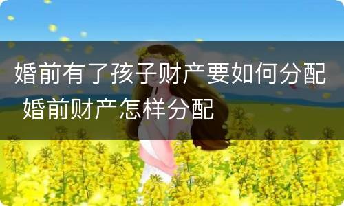 婚前有了孩子财产要如何分配 婚前财产怎样分配