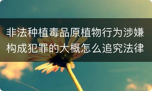 非法种植毒品原植物行为涉嫌构成犯罪的大概怎么追究法律责任