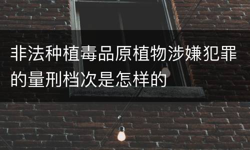非法种植毒品原植物涉嫌犯罪的量刑档次是怎样的