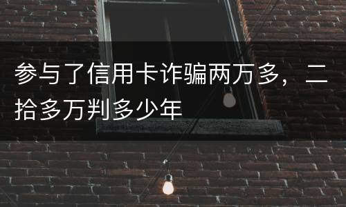 参与了信用卡诈骗两万多，二拾多万判多少年