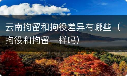 云南拘留和拘役差异有哪些（拘役和拘留一样吗）