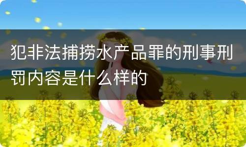 犯非法捕捞水产品罪的刑事刑罚内容是什么样的