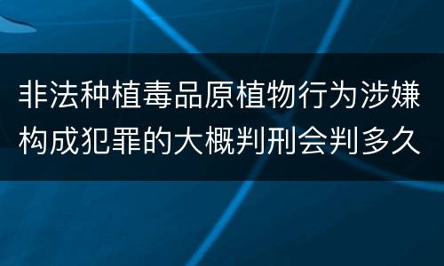 非法种植毒品原植物行为涉嫌构成犯罪的大概判刑会判多久