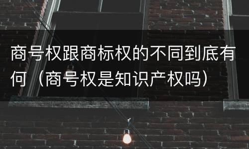 商号权跟商标权的不同到底有何（商号权是知识产权吗）