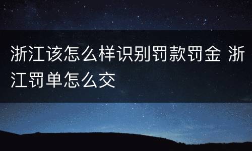 浙江该怎么样识别罚款罚金 浙江罚单怎么交