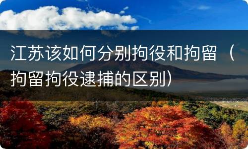江苏该如何分别拘役和拘留（拘留拘役逮捕的区别）