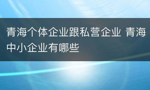 青海个体企业跟私营企业 青海中小企业有哪些