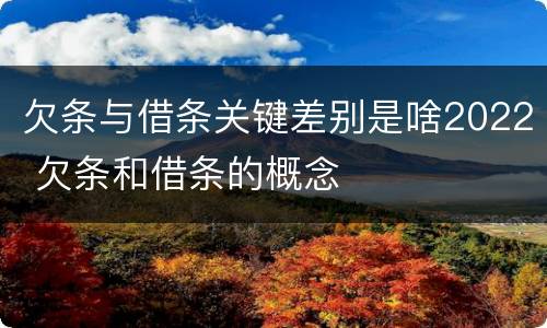 欠条与借条关键差别是啥2022 欠条和借条的概念