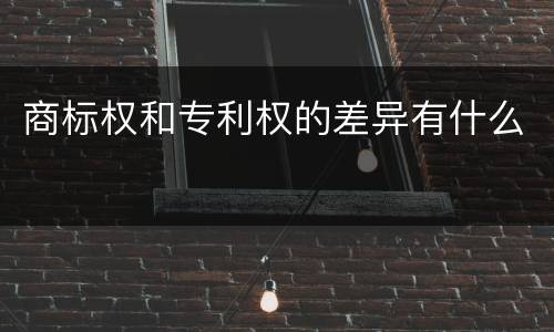 商标权和专利权的差异有什么
