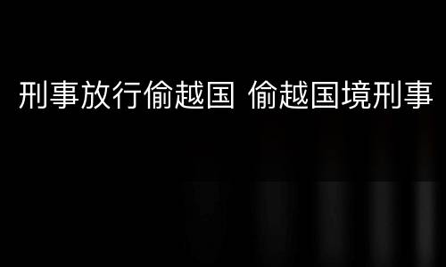 刑事放行偷越国 偷越国境刑事