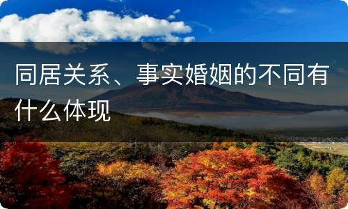 同居关系、事实婚姻的不同有什么体现