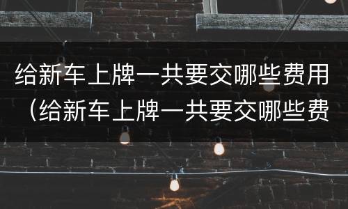 给新车上牌一共要交哪些费用（给新车上牌一共要交哪些费用呢）