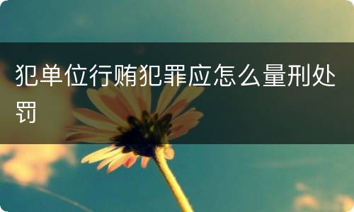 犯单位行贿犯罪应怎么量刑处罚