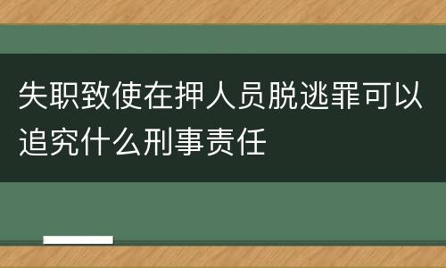 失职致使在押人员脱逃罪可以追究什么刑事责任