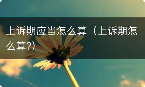 上诉期应当怎么算（上诉期怎么算?）