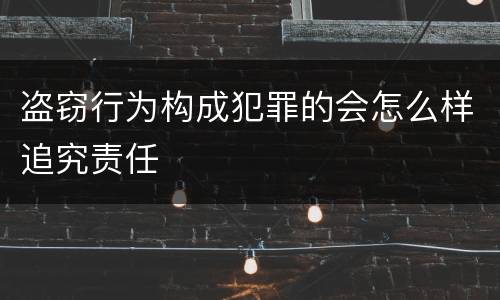 盗窃行为构成犯罪的会怎么样追究责任