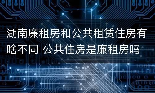 湖南廉租房和公共租赁住房有啥不同 公共住房是廉租房吗
