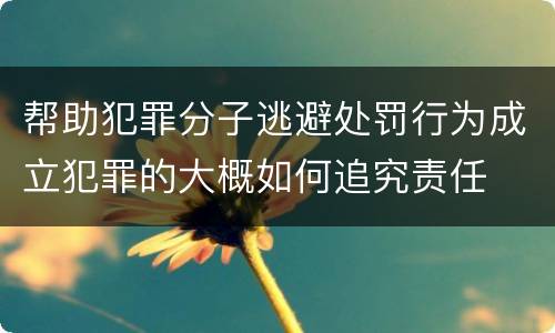 帮助犯罪分子逃避处罚行为成立犯罪的大概如何追究责任
