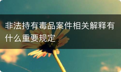 非法持有毒品案件相关解释有什么重要规定