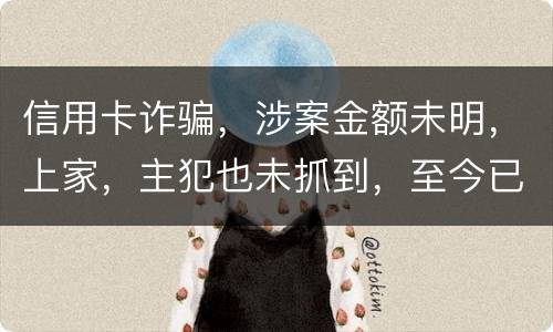 信用卡诈骗，涉案金额未明，上家，主犯也未抓到，至今已有5天，请问可以申请取保吗