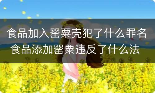 食品加入罂粟壳犯了什么罪名 食品添加罂粟违反了什么法