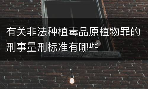 有关非法种植毒品原植物罪的刑事量刑标准有哪些