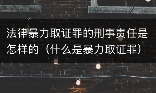 法律暴力取证罪的刑事责任是怎样的（什么是暴力取证罪）