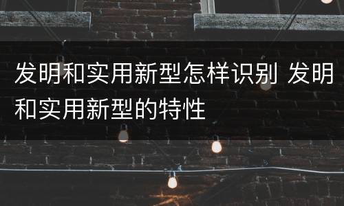 发明和实用新型怎样识别 发明和实用新型的特性