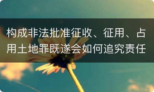 构成非法批准征收、征用、占用土地罪既遂会如何追究责任