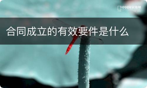 合同成立的有效要件是什么