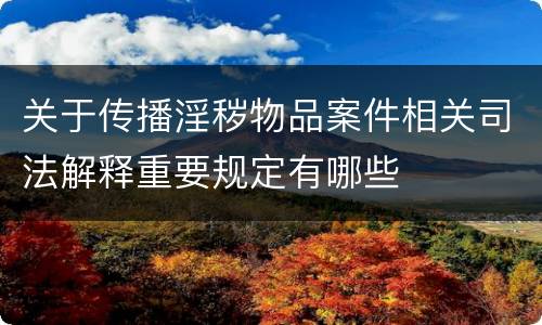 关于传播淫秽物品案件相关司法解释重要规定有哪些