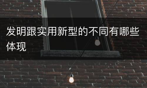 发明跟实用新型的不同有哪些体现