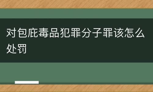 对包庇毒品犯罪分子罪该怎么处罚