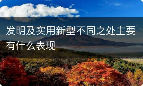 发明及实用新型不同之处主要有什么表现