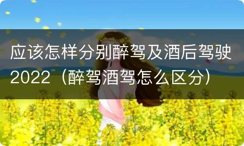 应该怎样分别醉驾及酒后驾驶2022（醉驾酒驾怎么区分）