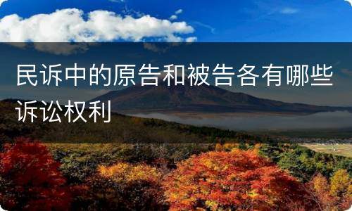 民诉中的原告和被告各有哪些诉讼权利