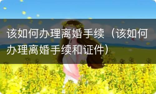 该如何办理离婚手续（该如何办理离婚手续和证件）
