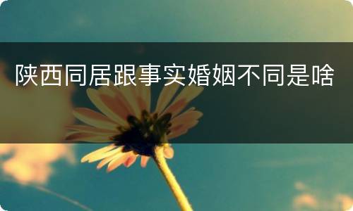 陕西同居跟事实婚姻不同是啥