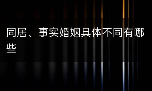 同居、事实婚姻具体不同有哪些
